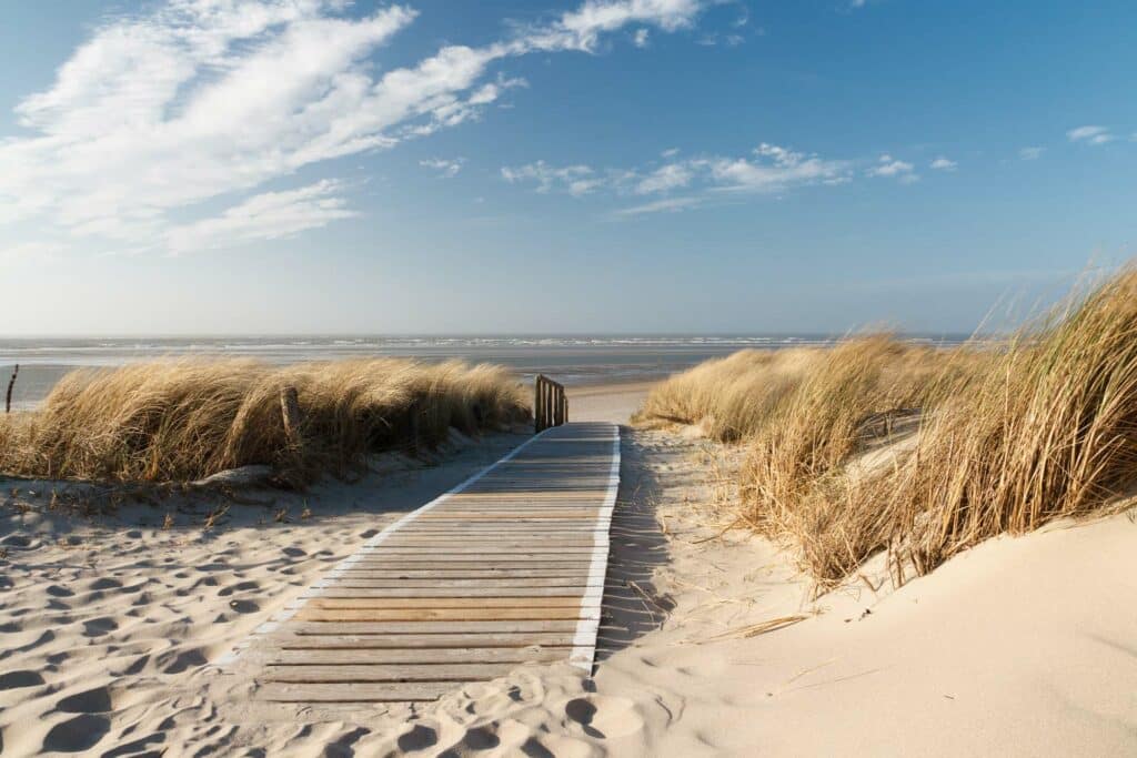 Ein malerischer Weg durch Sanddünen und Gras, der zu einem schönen Strand führt.